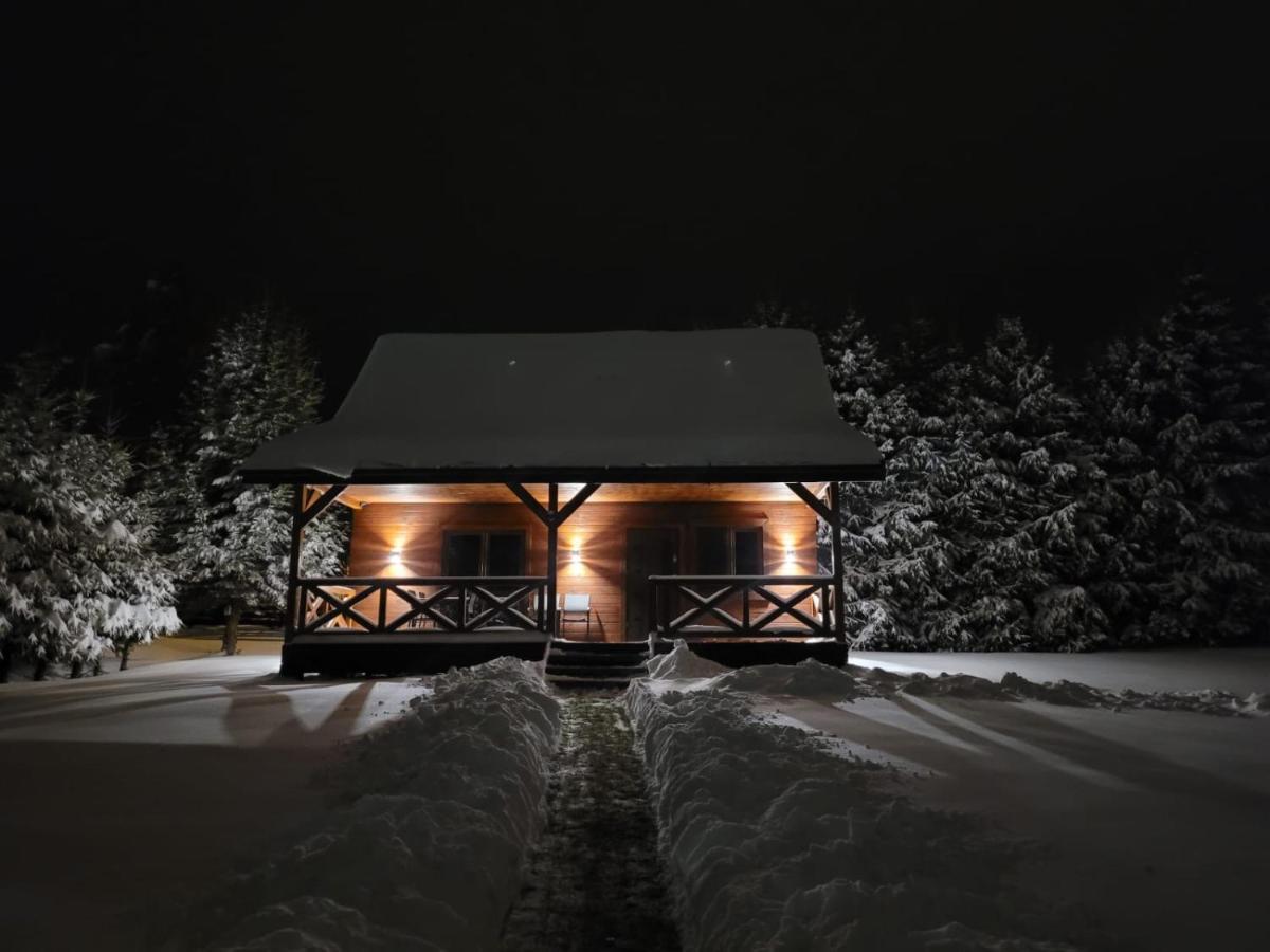 Appartamento Roztoczanska Ostoja Adamow  Esterno foto